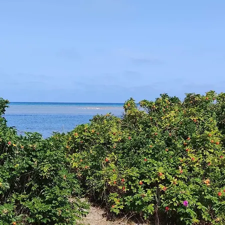 6 Person In Grenaa-by Traum