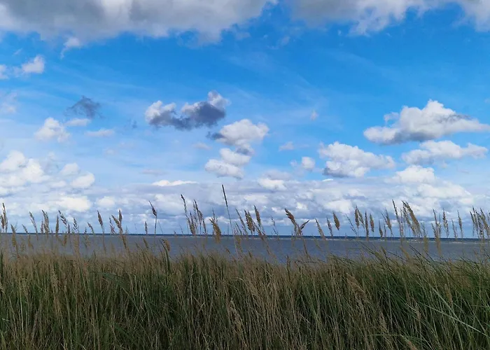 度假居 6 Person In Grenaa-by Traum *